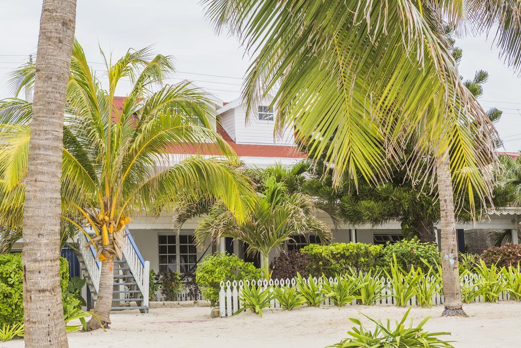 Casa Brisa Guest House سان بيدرو المظهر الخارجي الصورة